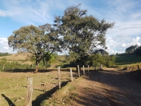 foto 04.jpg
